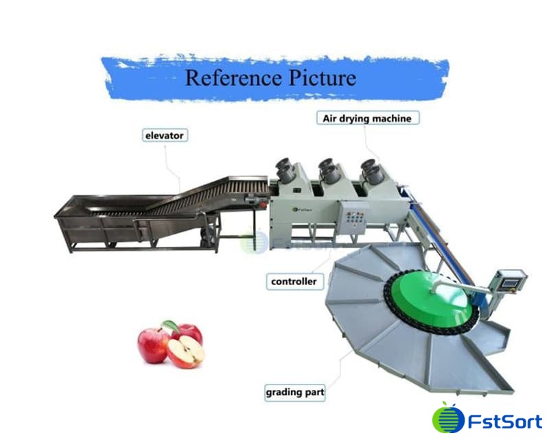 images/1752474356676Una máquina clasificadora de ciruela pequeña.jpg